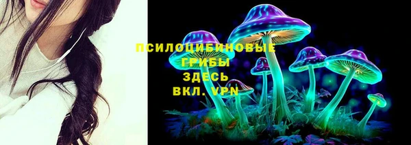 ГАЛЛЮЦИНОГЕННЫЕ ГРИБЫ Арсеньев