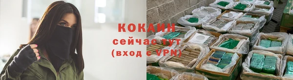 гидра Аркадак