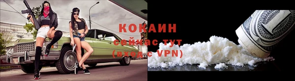 гидра Аркадак