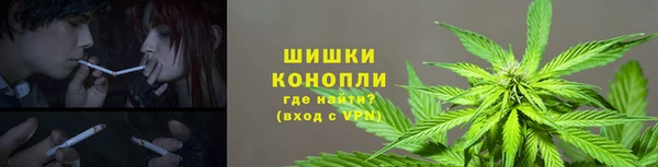 ГАЛЛЮЦИНОГЕННЫЕ ГРИБЫ Арсеньев