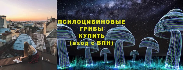 гидра Аркадак