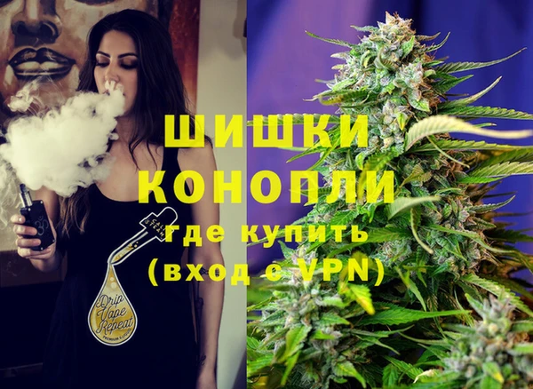 ГАЛЛЮЦИНОГЕННЫЕ ГРИБЫ Арсеньев