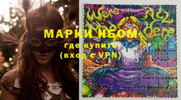 ГАЛЛЮЦИНОГЕННЫЕ ГРИБЫ Арсеньев
