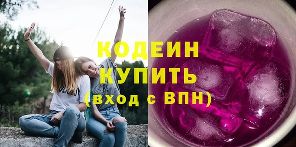ГАЛЛЮЦИНОГЕННЫЕ ГРИБЫ Арсеньев