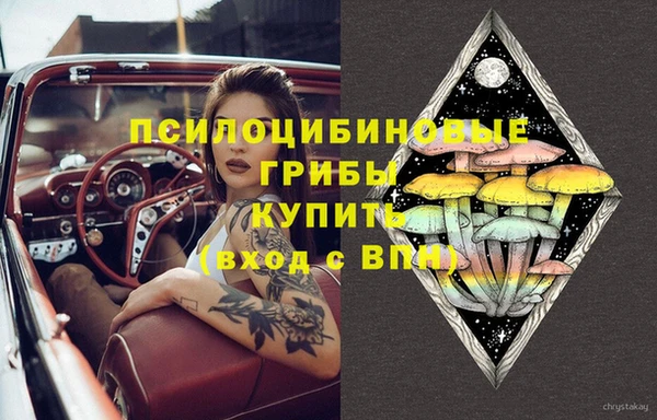 ГАЛЛЮЦИНОГЕННЫЕ ГРИБЫ Арсеньев