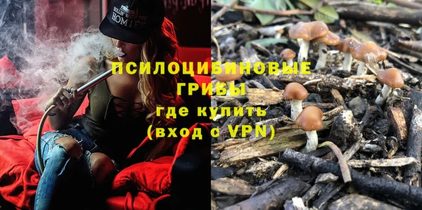 винт Армянск