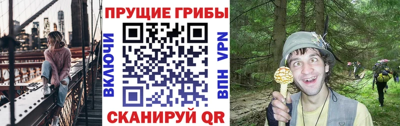 Галлюциногенные грибы прущие грибы  ОМГ ОМГ   Мегион 